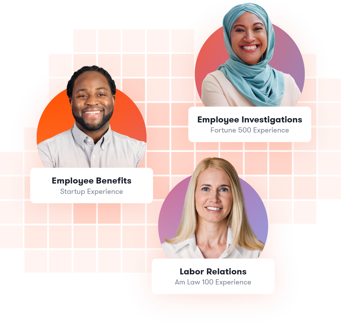 Labor and Employment Lawyers