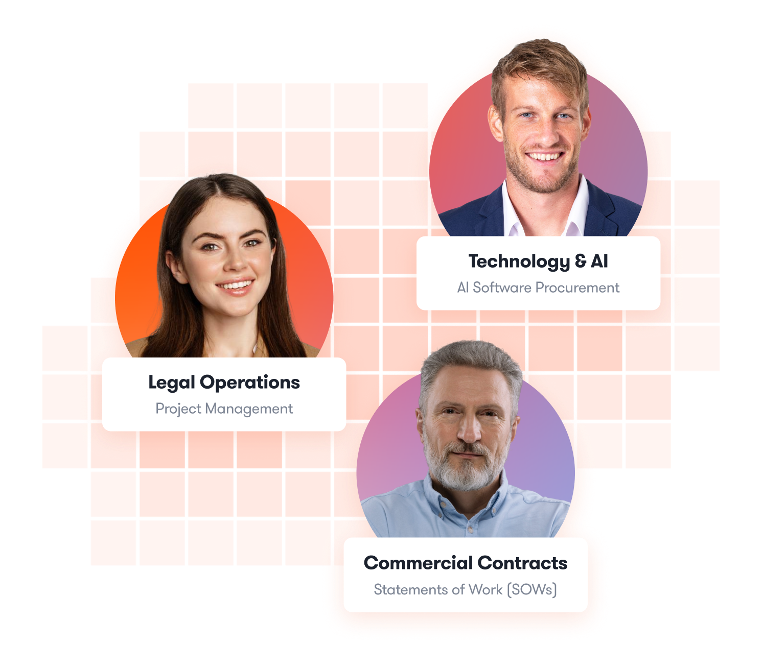 Consulting Industry Lawyers