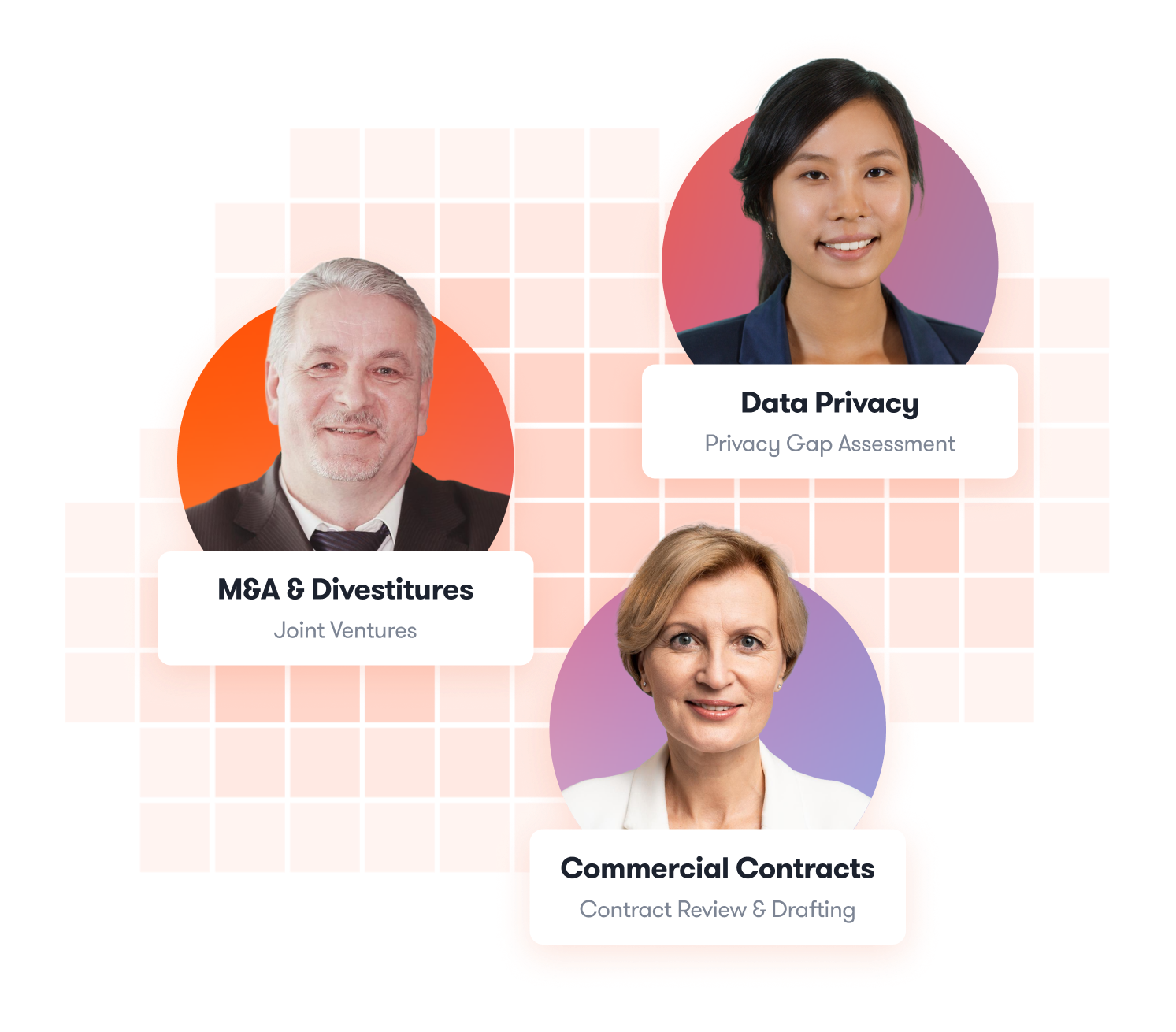 Non-Profit Organization Lawyers