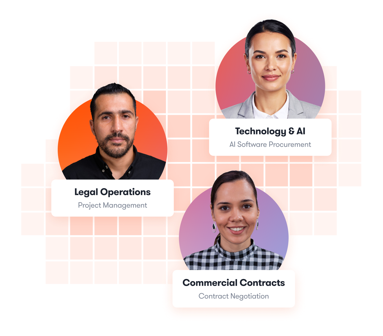 Professional Services Lawyers