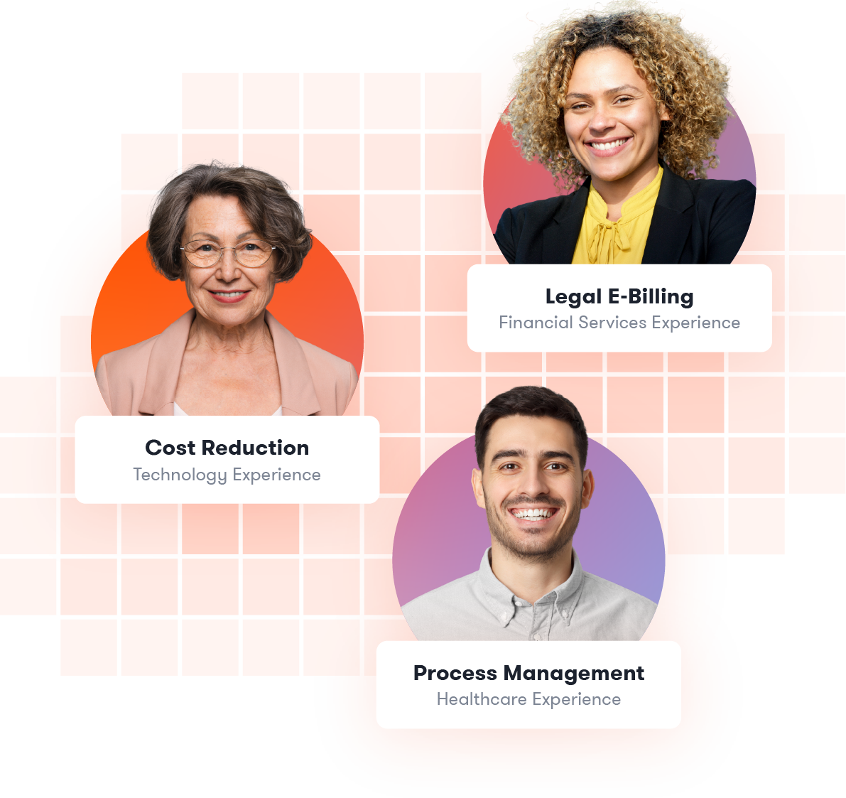 Legal Operations Professionals