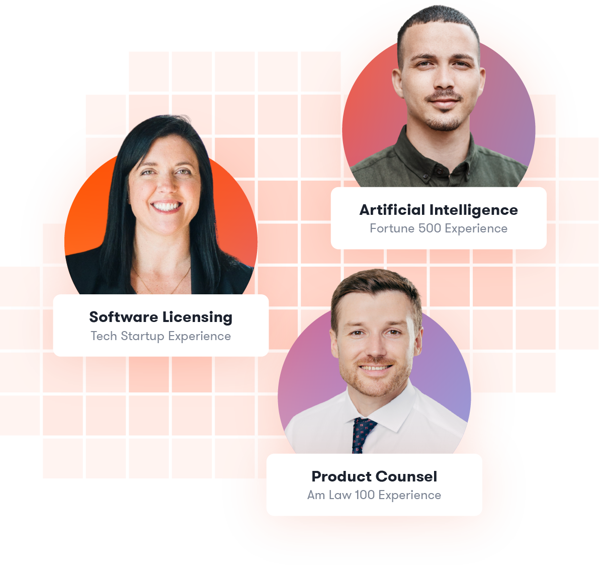 Technology & AI Lawyers