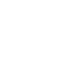 annual-icon